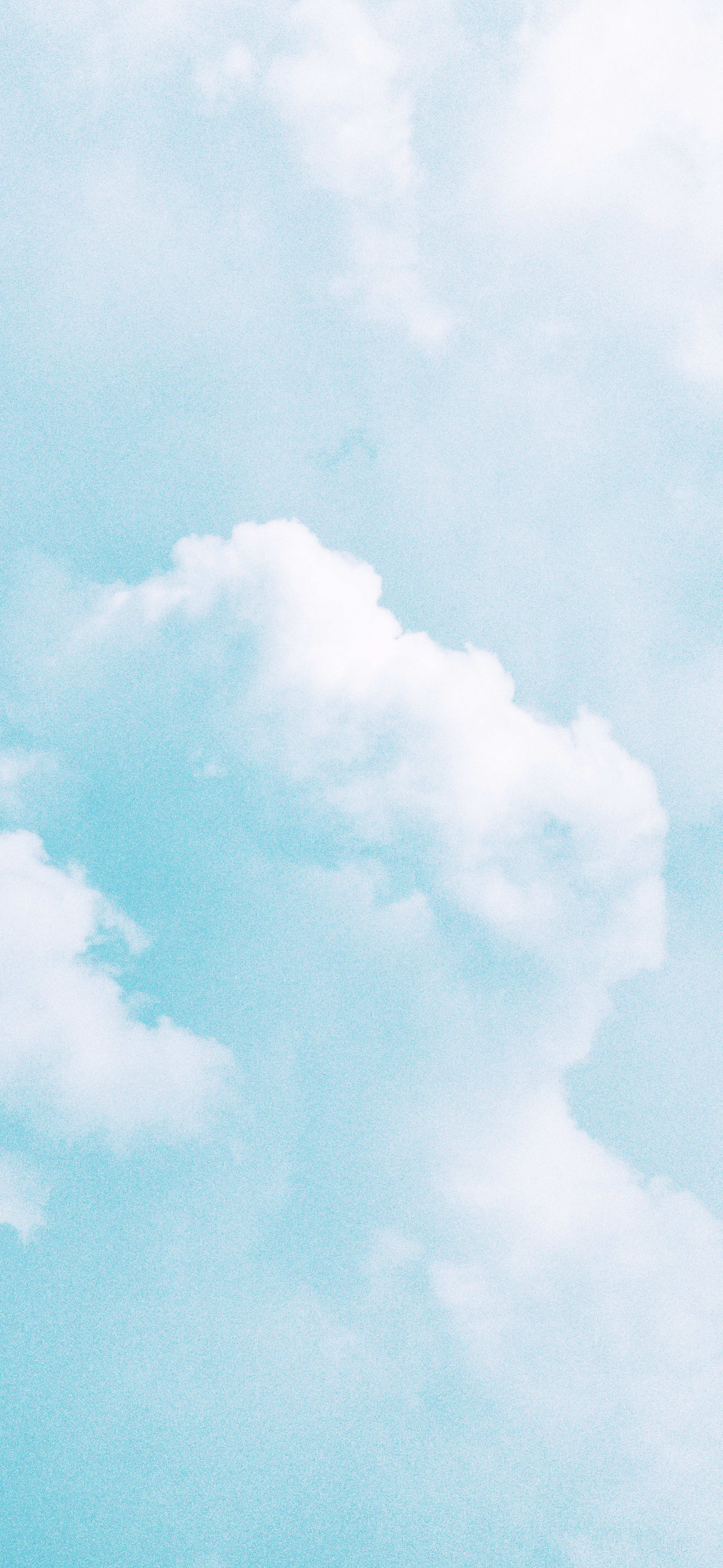 小伙伴们早[酷]今日份壁纸已送达 ​​​