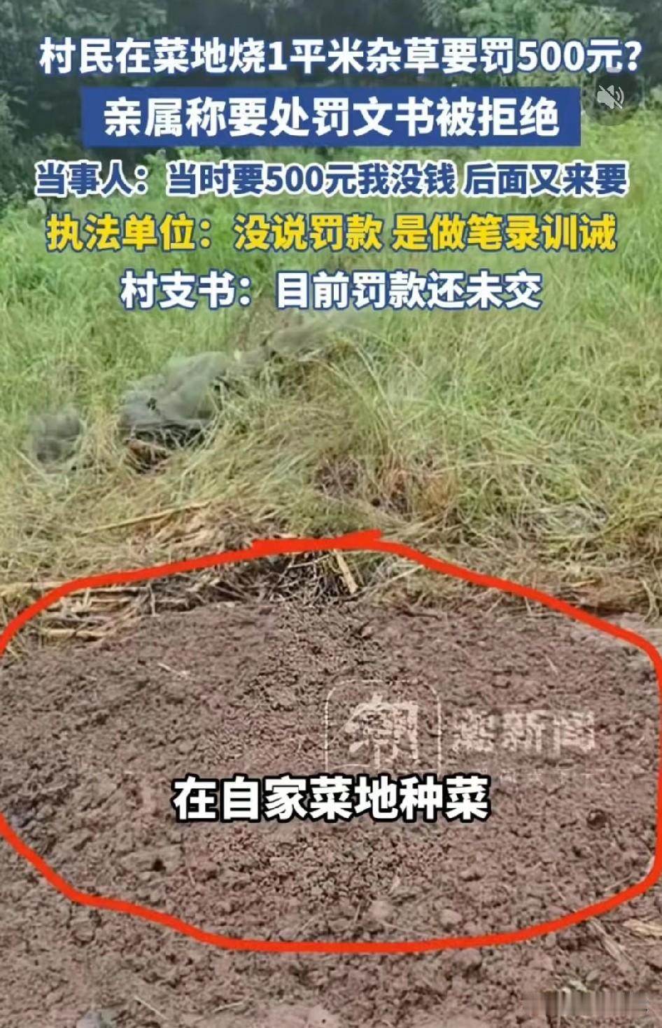 河南固始，53岁大妈在自家菜地，只烧了大约一平方米的杂草。随后她被通知到村委会做