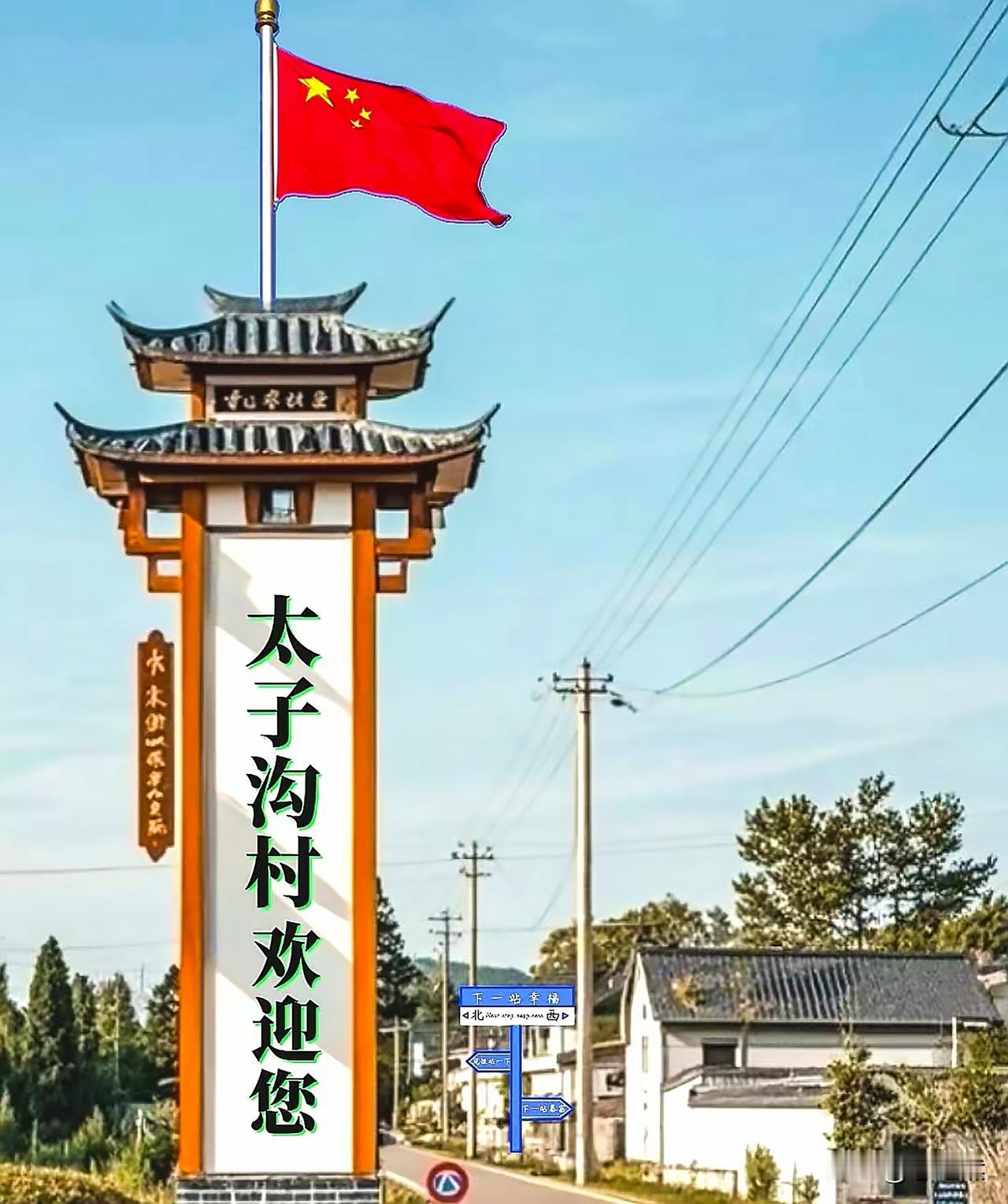 最近的宝鸡周原太子沟村，因大面积油菜花开火了起来。游客们趋之若鹜，只知道争相赏花