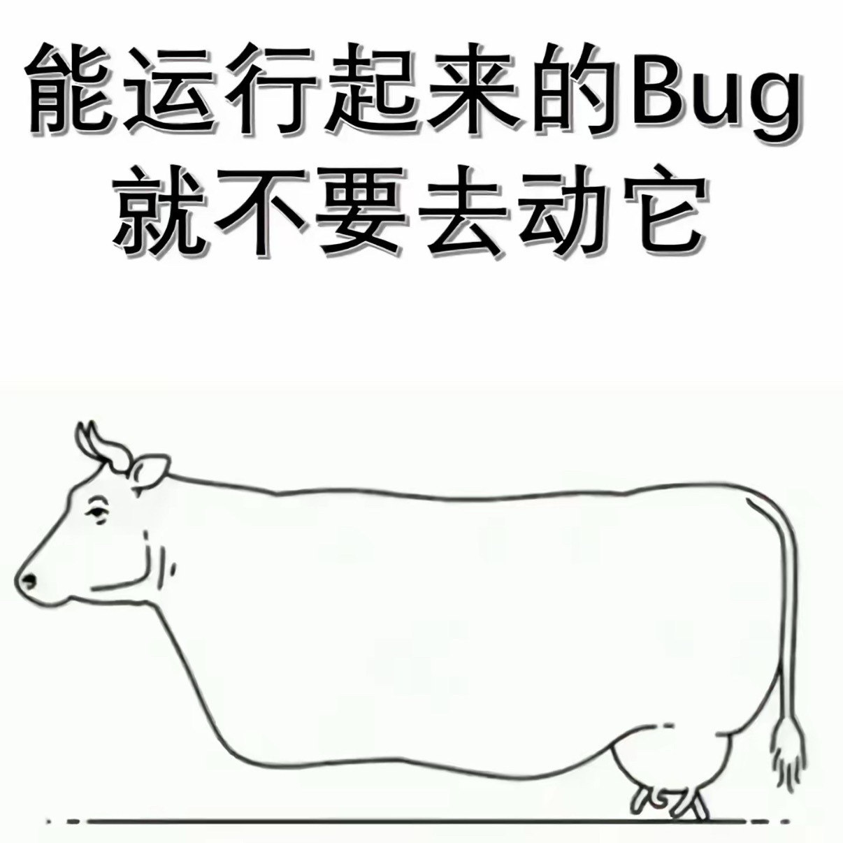 程序员才能懂的梗图如果你发现一个 bug 但能正常运行，千万不要试图修复它一个b