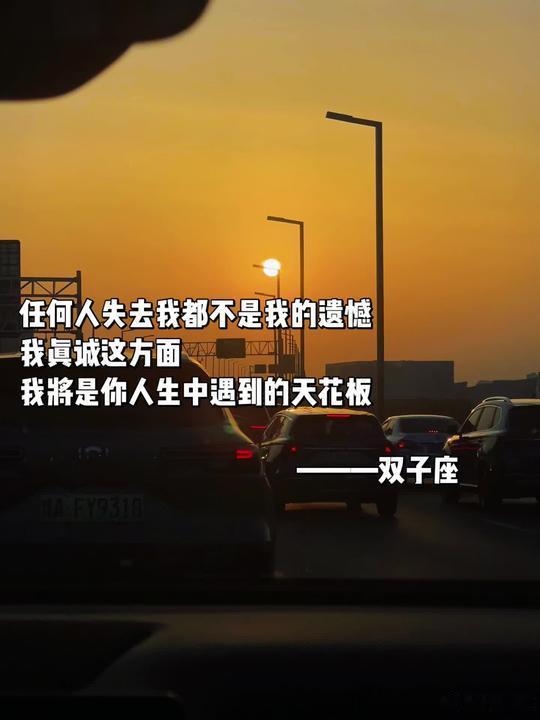 日落 我真诚待你，你若负了我那就不要罢了。 