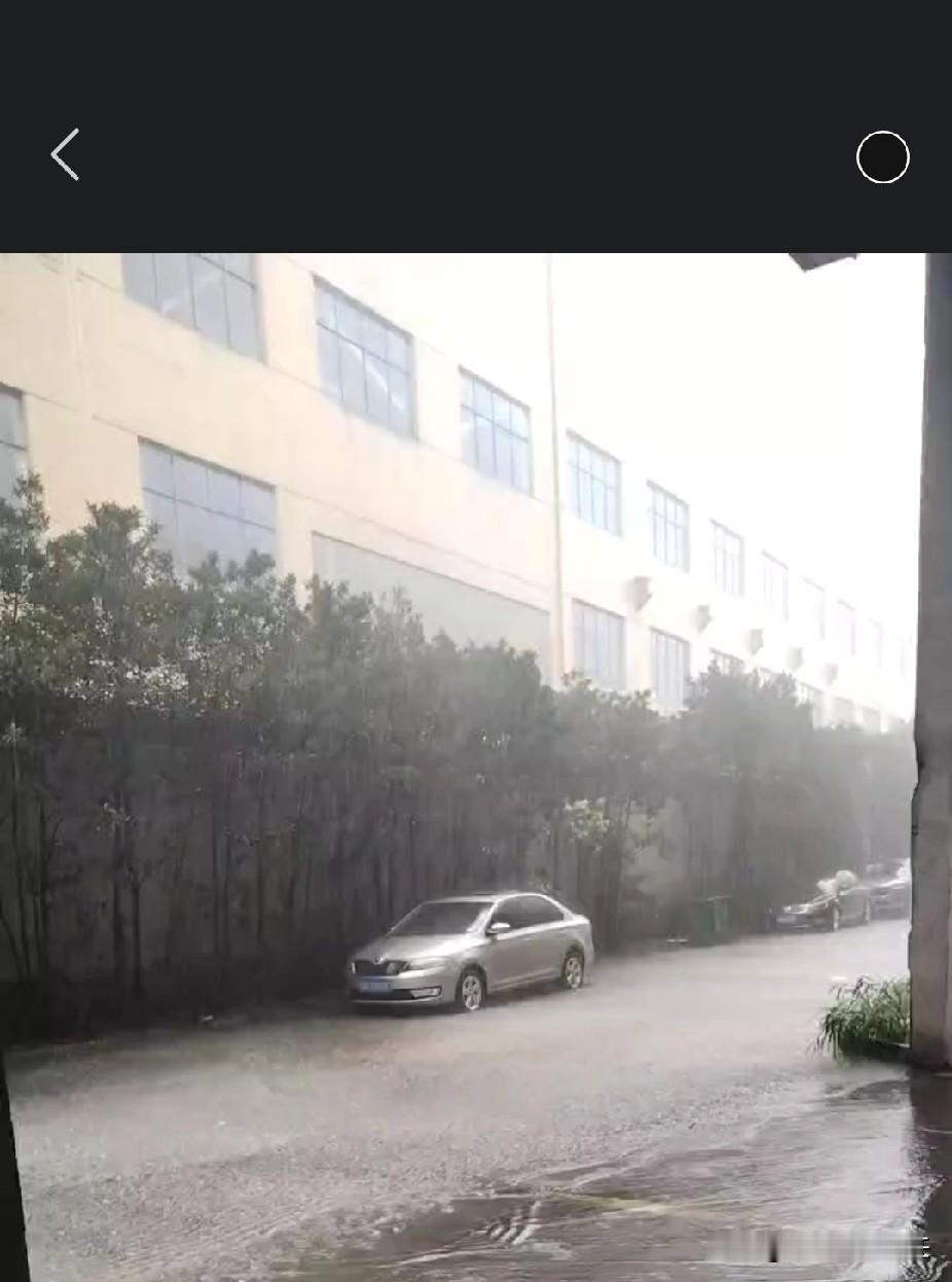 无锡今天风大雨大，补课班居然不停课，一再确认人家还是回复没有停课通知[捂脸]！