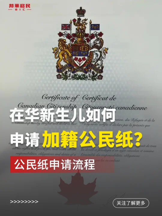 在华新生儿如何申请加籍公民纸？(境内申请)