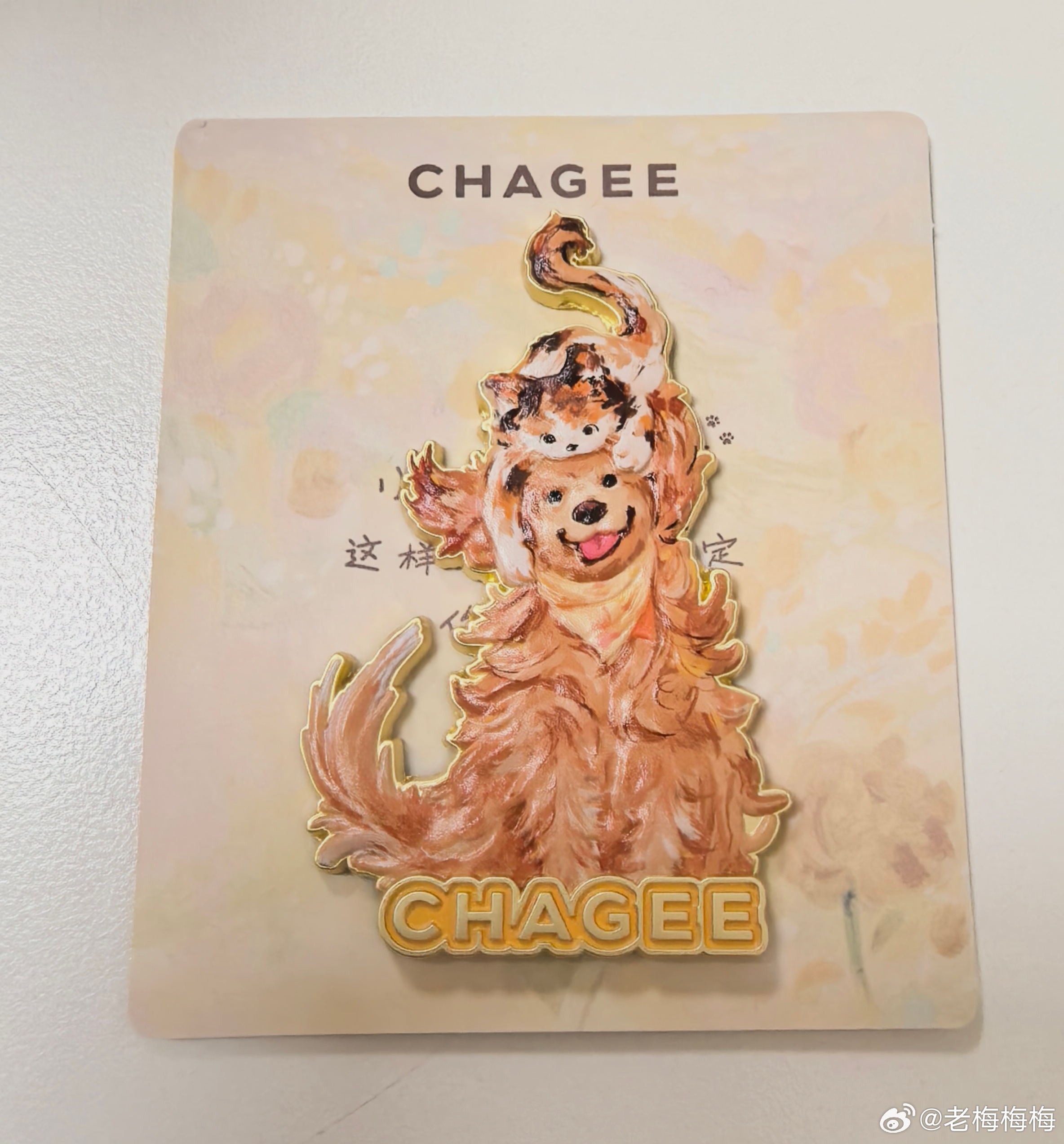 症状已经严重到看到猫狗就是一个代.....纳么伟大