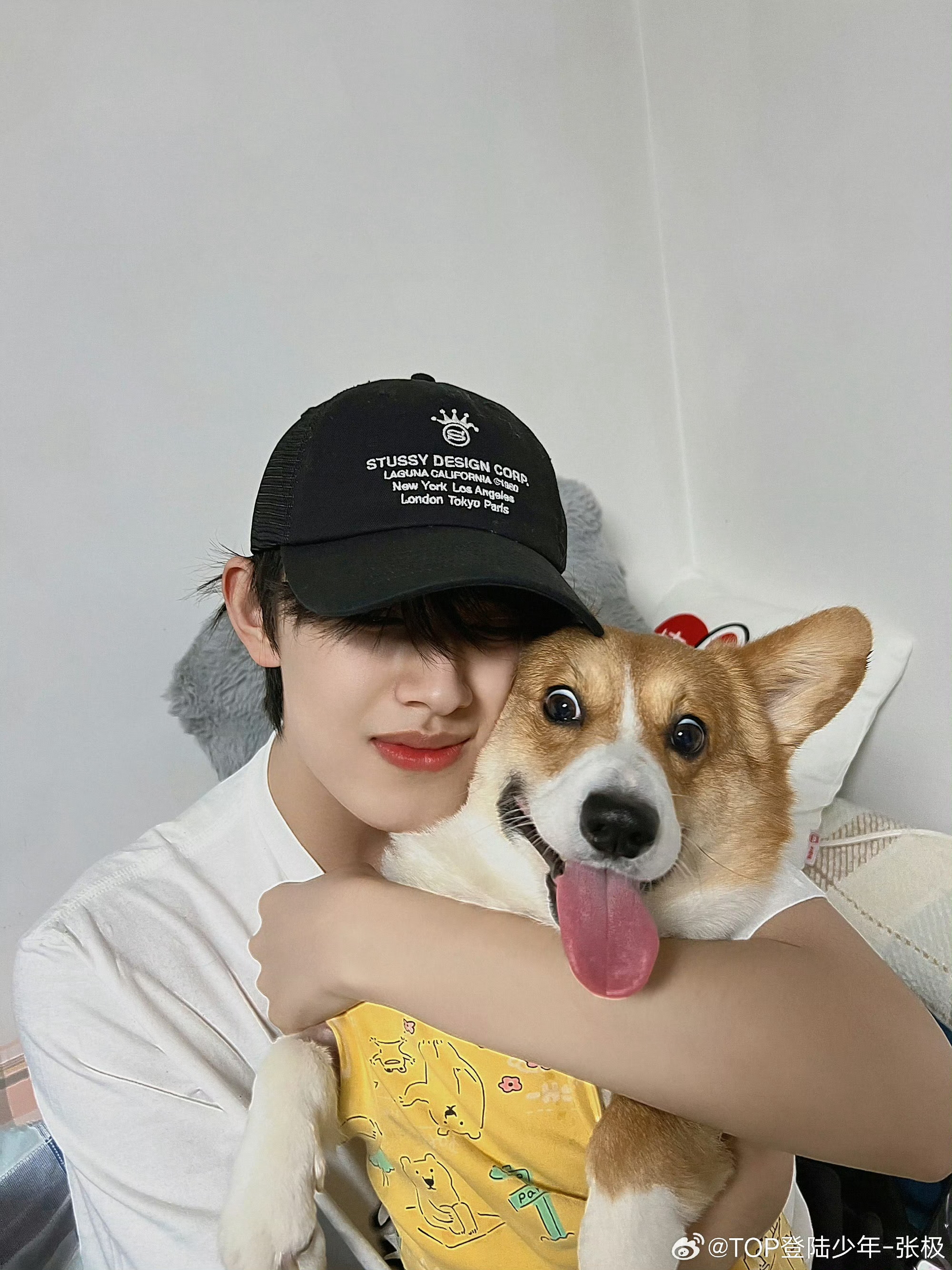 张极连续三年给啵啵庆生张极连续三年发博给啵啵庆生了🎉🐶等比例长大的两只光看画