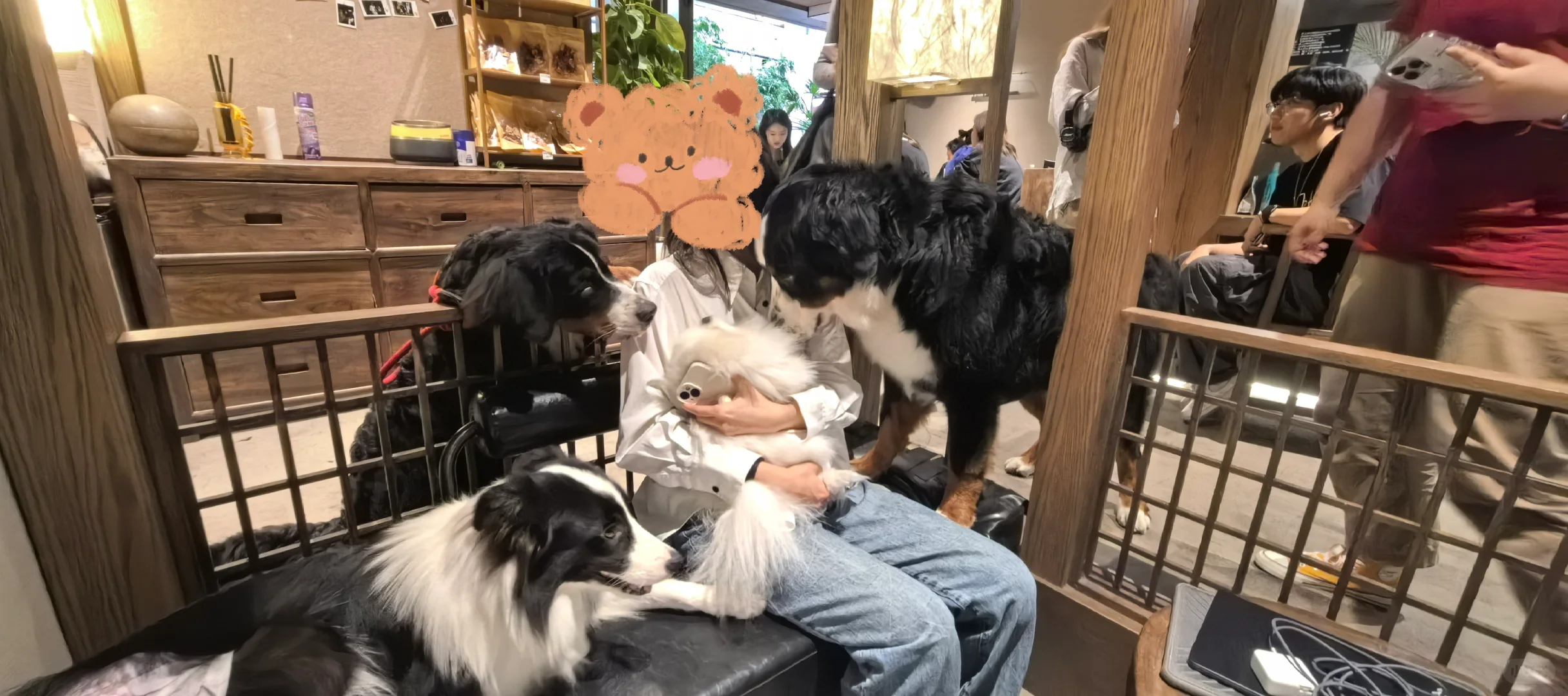 小狗咖啡厅的盛况