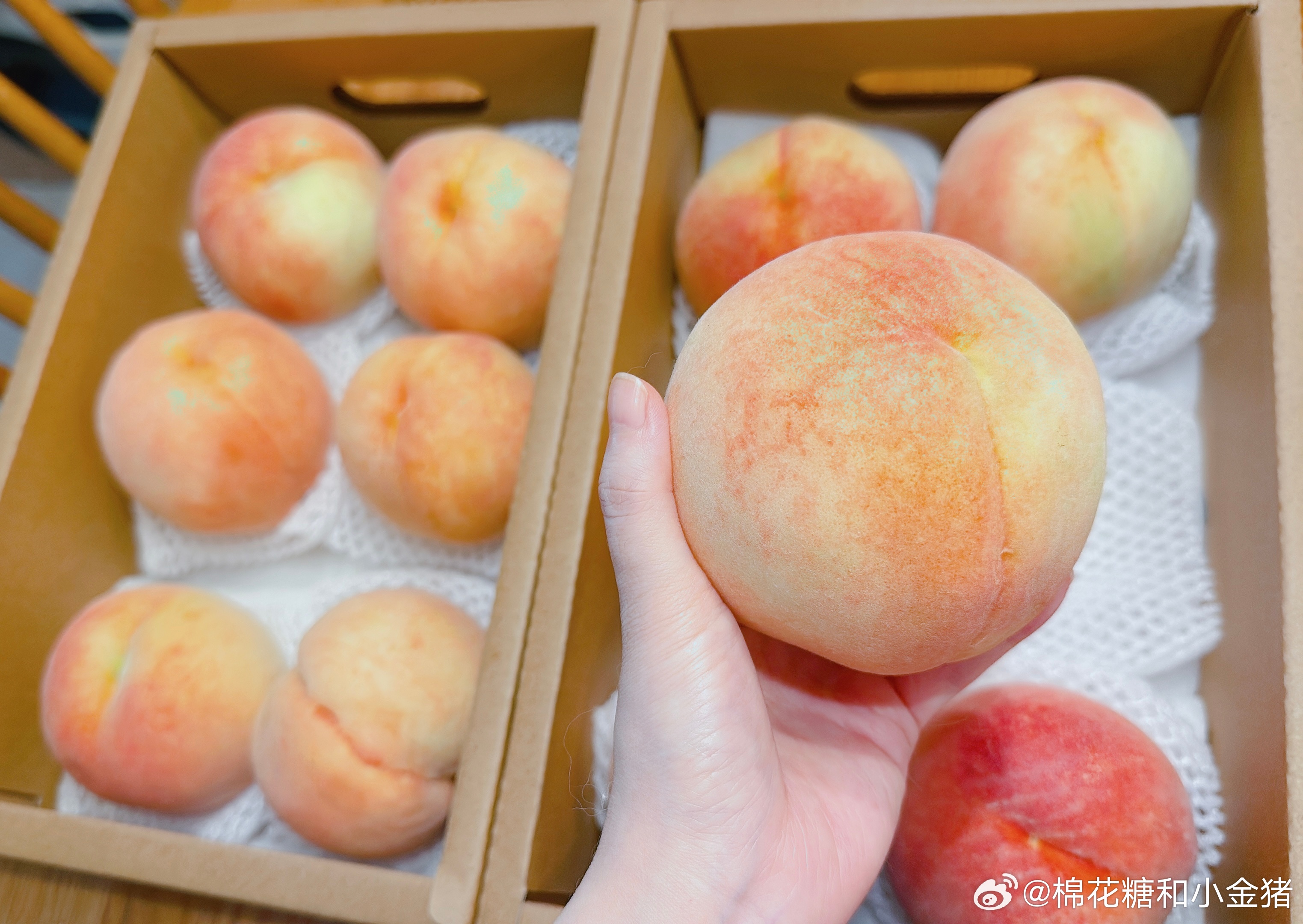 吃完白凤开始吃湖景了～ 