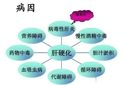 肝硬化最偏爱这4种人，看看里面有没有你1. 病毒性肝炎携带者乙肝、丙肝等病毒性肝