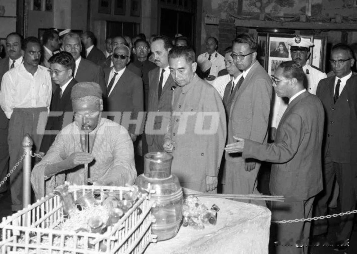 【周总理历史上的今天——6月20日】
1965年6月20日，下午，周恩来总理在阿