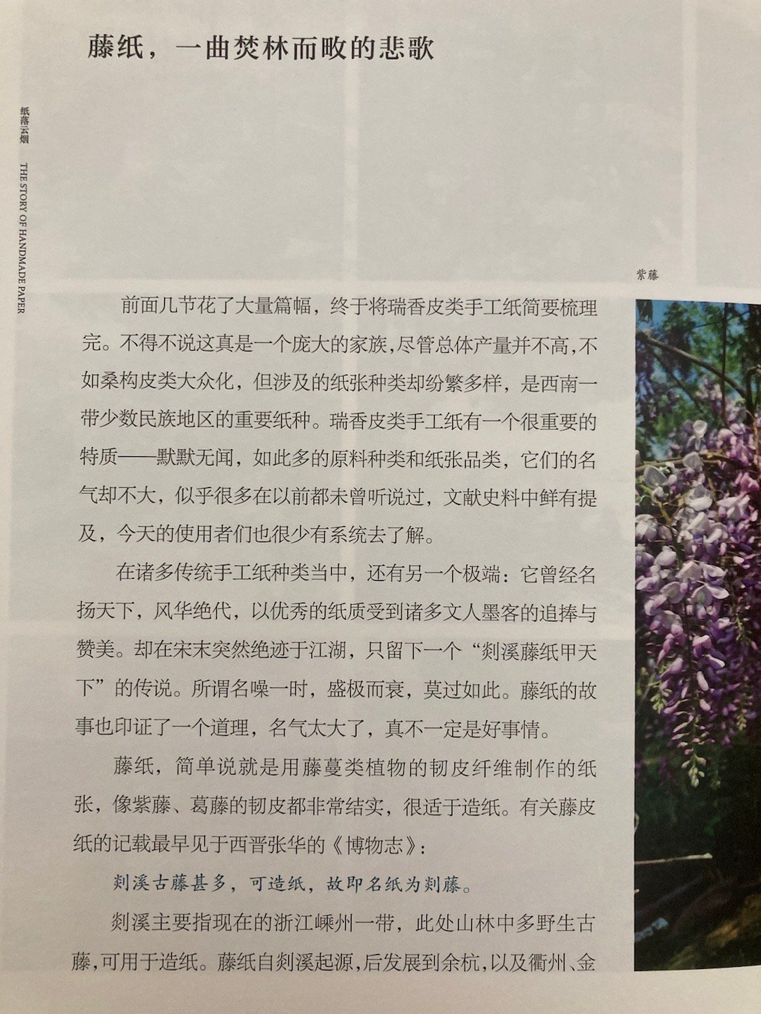 消失在历史长河中的剡溪藤纸（易晓辉《纸落云烟》） ​​​