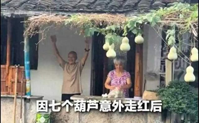 真葫芦刚剪完，隔壁就挂假葫芦：七个葫芦讽刺了流量时代的三件事