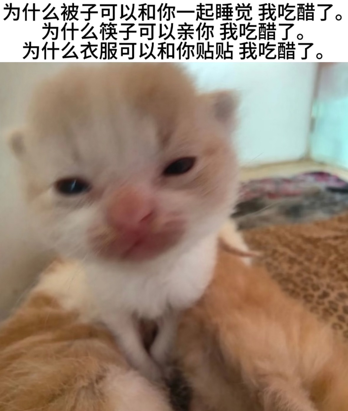 喜欢姐姐后我小心眼程度： 