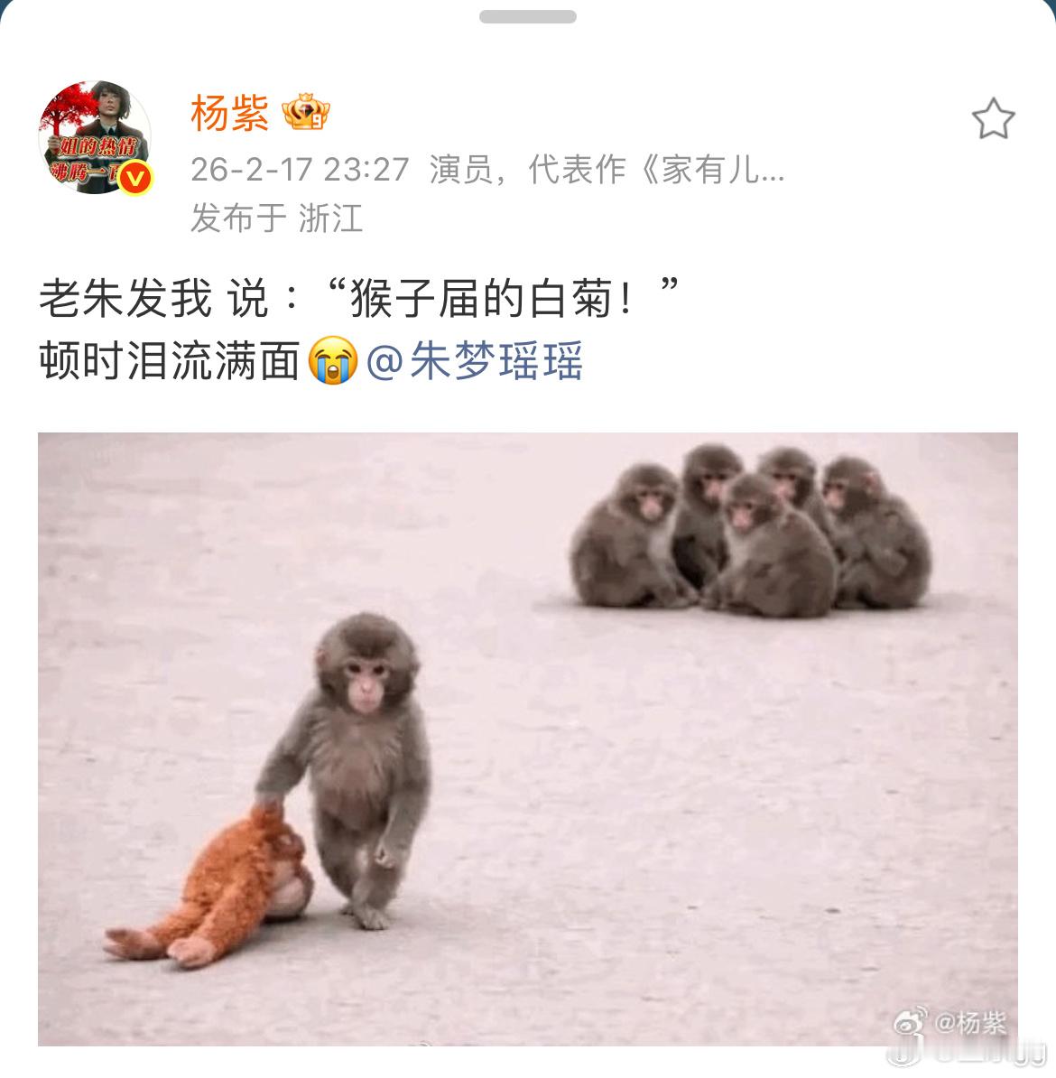 杨紫昨天发博：猴子届的白菊。太可爱了没有精致妆容，只有冻裂的唇和滚烫的心，白菊，