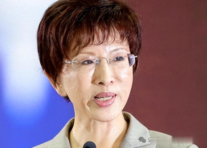 2026年7月17日，国民党前主席洪秀柱在杭州出席第九届海峡两岸青年发展论坛时动