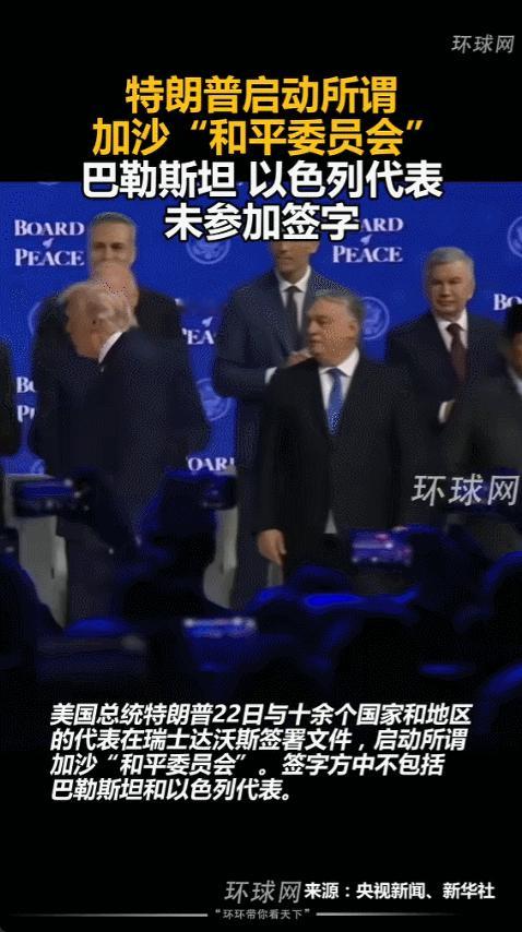那天达沃斯办了个会，特朗普在会上宣布要搞一个加沙和平委员会，他说是为了推动和平，