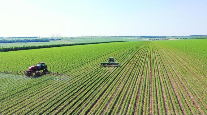 几百亿斤粮食说不要就不要了？数万名官兵和农民辛苦开垦半个世纪，能养活一亿人的中国