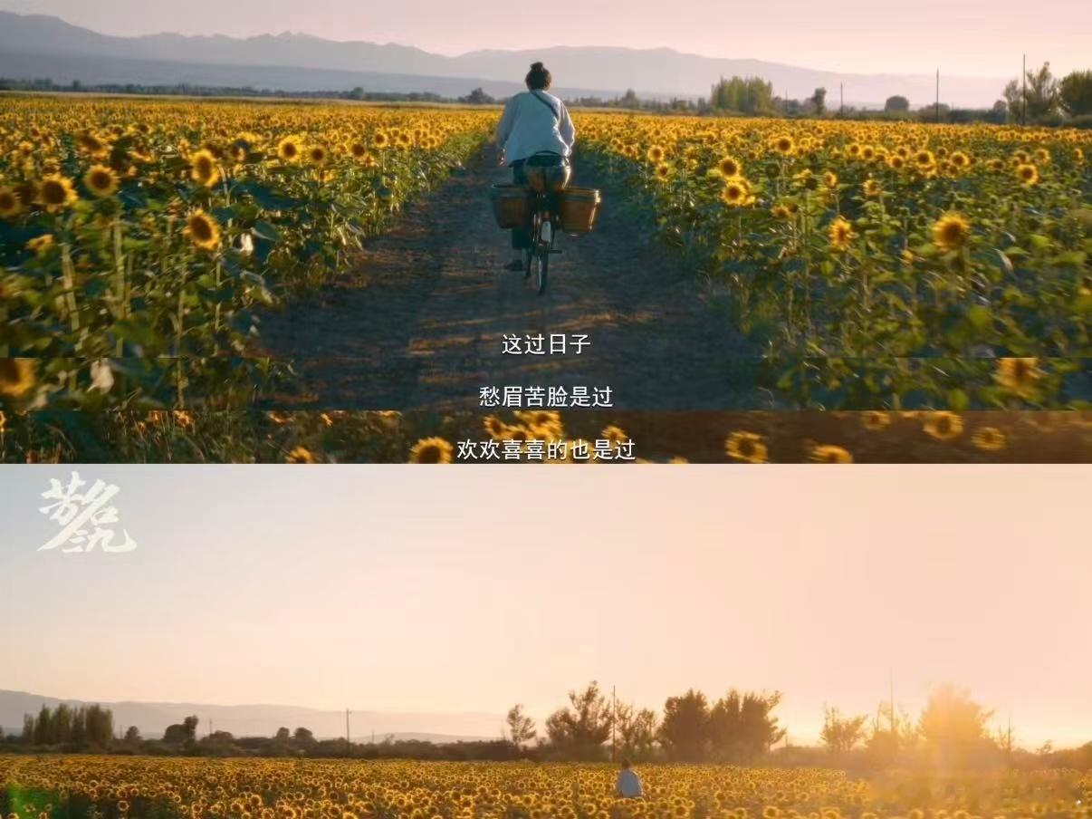 这居然是宋佳的花絮 宋佳《芳名三九》花絮质感绝了！3分20秒全是戏，把角色的韧劲