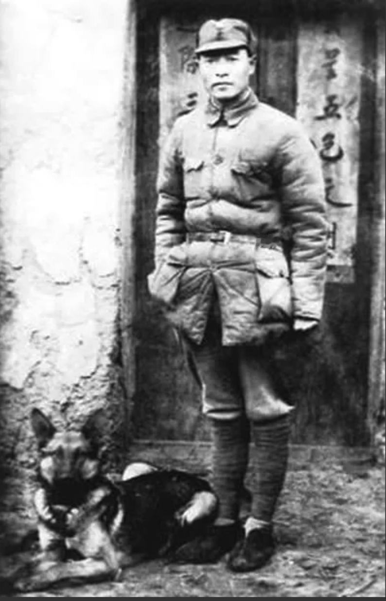 1939年，游击支队穷得只剩3块钱，为度过难关，彭雪枫忍痛卖掉了13匹战马，谁料