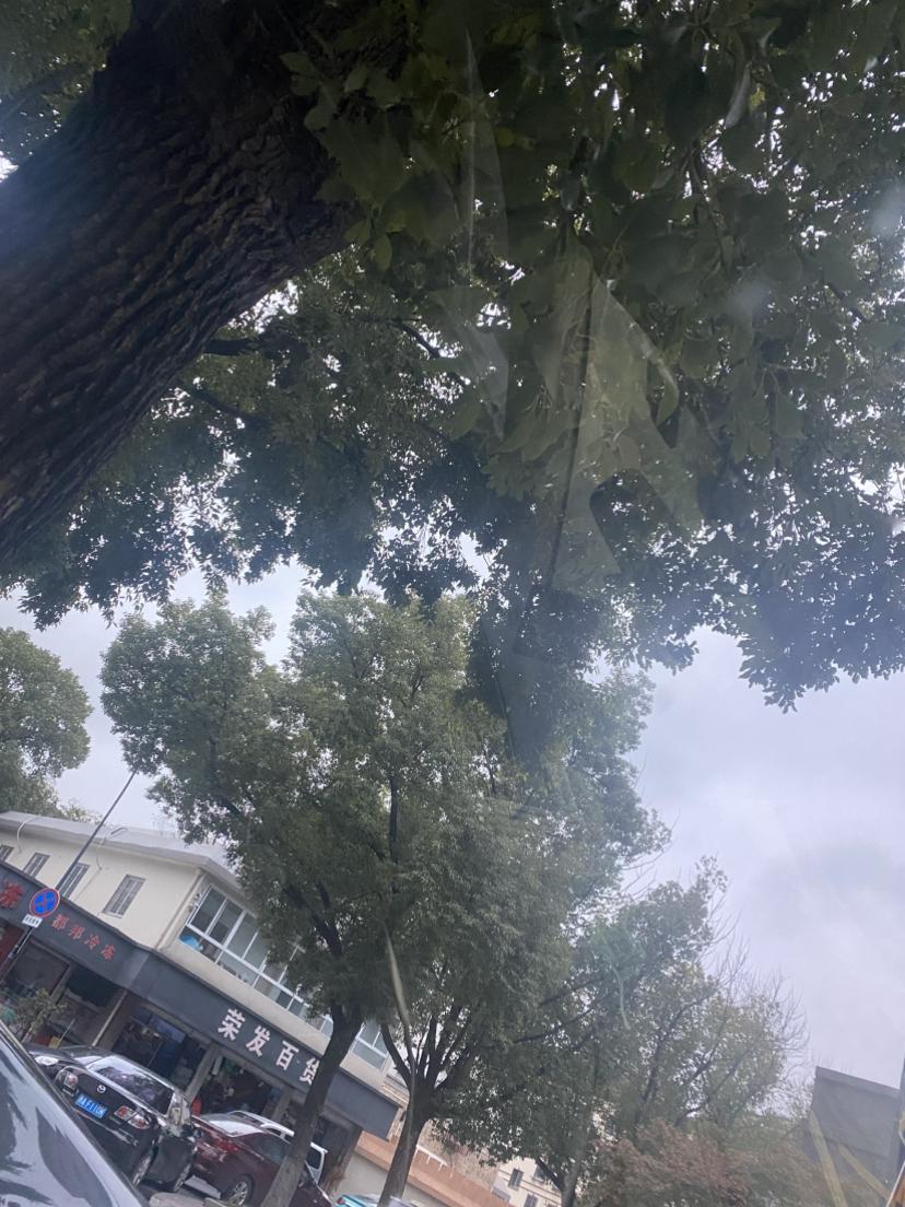 我的今日状态：😁轻松愉快
我这里的天气：🌤️多云