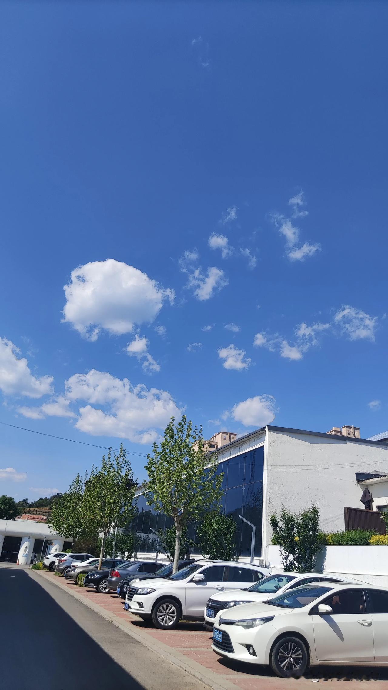 夏日生活打卡季