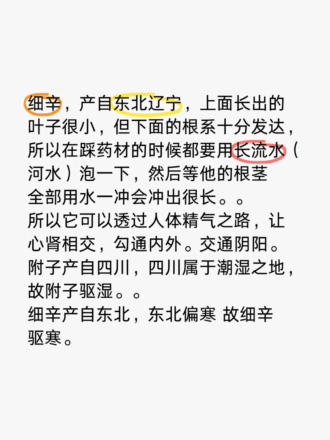 细辛，产自东北辽宁，上面长出的叶子很小，但下面的根系十分发达，所以在踩...