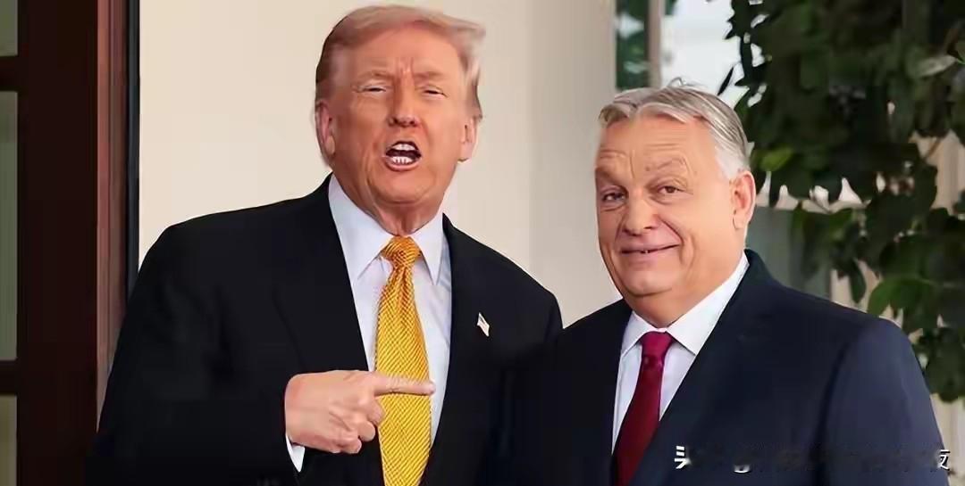 俄乌冲突转折点？欧尔班称乌克兰赢要靠奇迹，特朗普笑着表示赞同