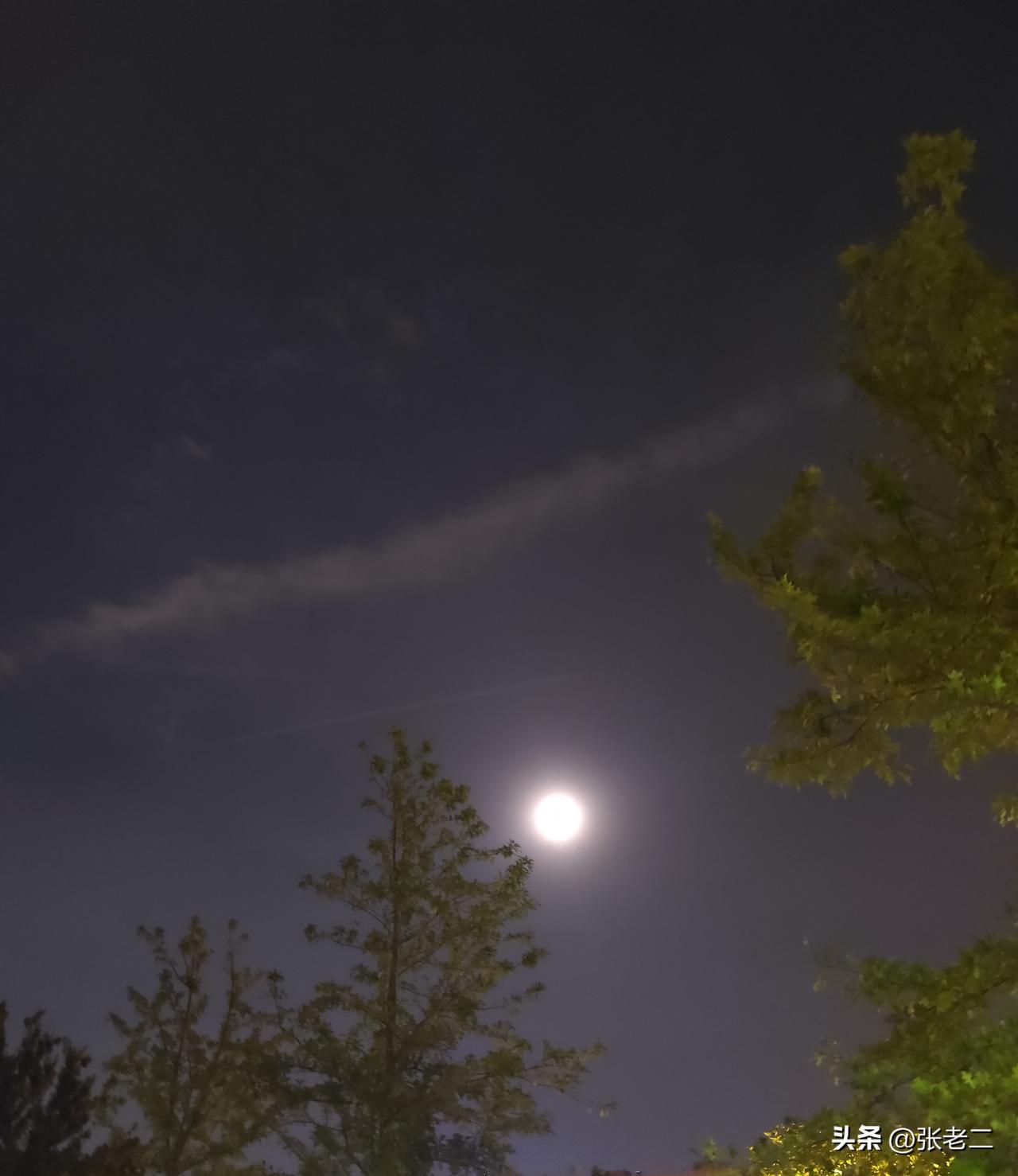 今日天晴，夜里一轮明月高高悬于天际，夜空干净通透，不见一丝云彩，抬头望去，却寻不
