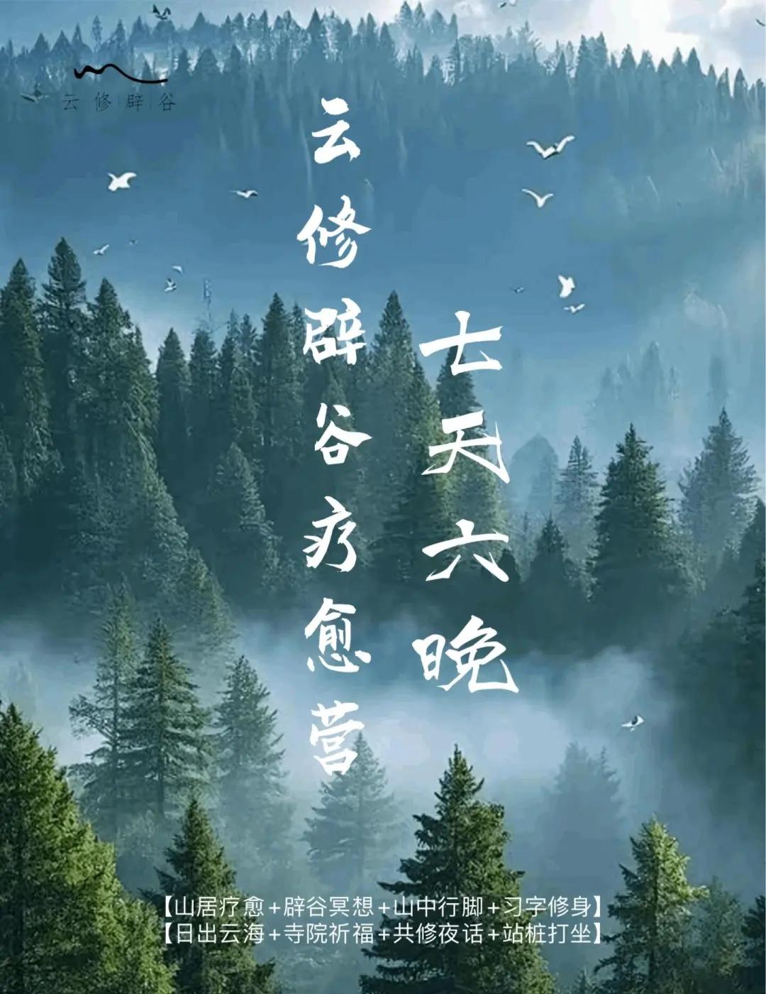 长沙黑麋峰辟谷营|身心焕新之旅
如果你在快节奏的城市生活中感到疲惫
不妨试试走进