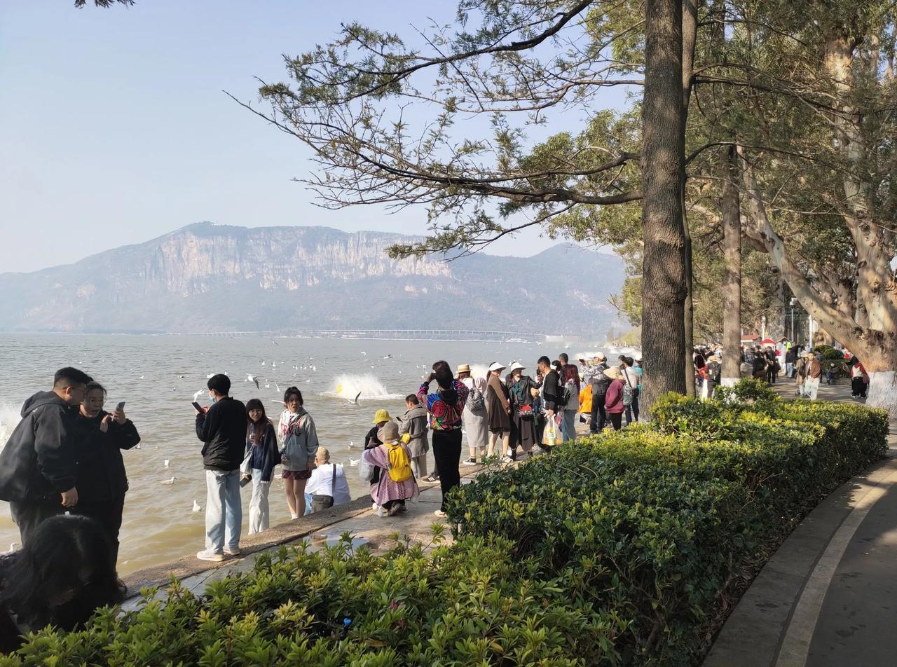 #旅行随手拍#在彩云之南，有一片令人心旷神怡的净土——云南昆明，而在这片美丽的土