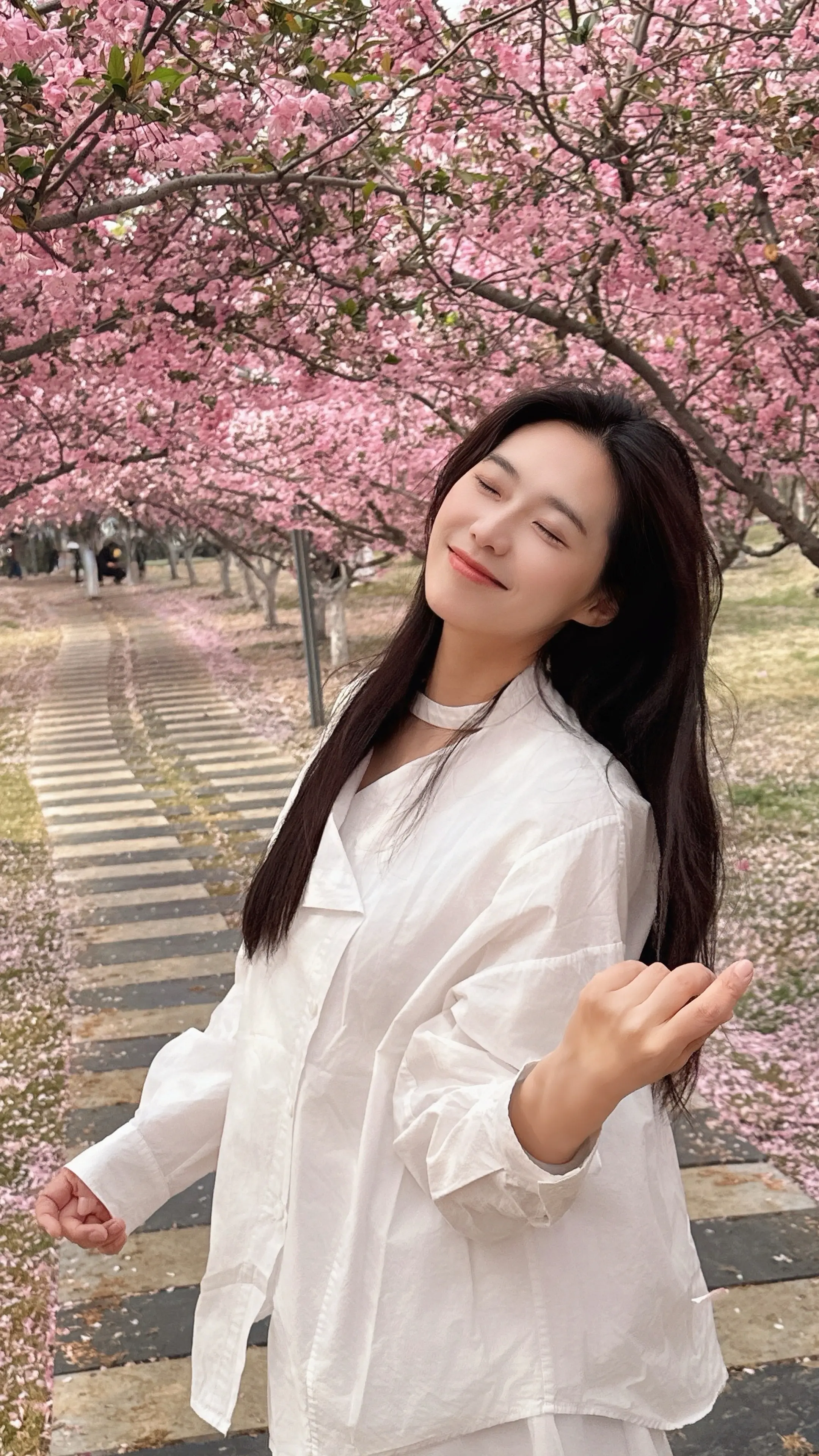 赴一场春日樱花之约
