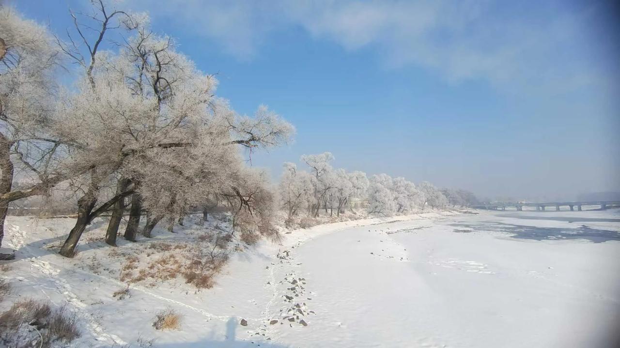 想看你相机里大雪的照片这是前几天哈尔滨的一场雪后的雾凇仙境中的哈尔滨