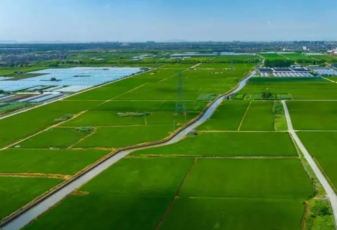 地处安徽最北端的宿州，地处黄淮海平原腹地，自古以来就是物阜民丰的传统农业区。直到