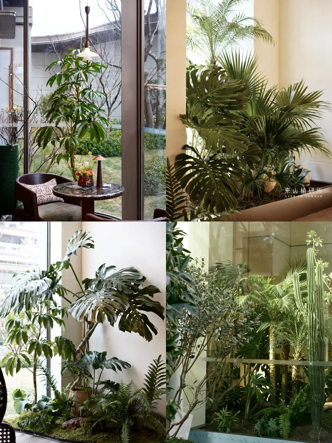 東植·新案｜在西安造一座室内热带雨林🌿