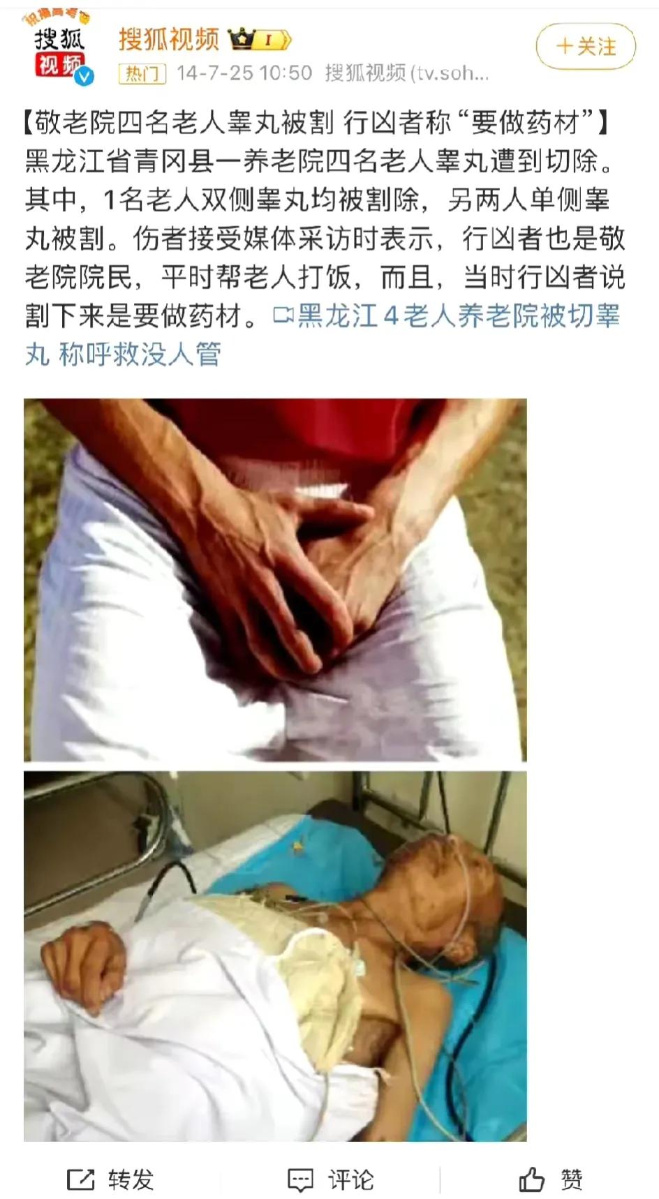 单身不婚丁克：无娃生活真的完美吗？揭秘其中残酷真相，令人深思!面对单身不婚及丁克