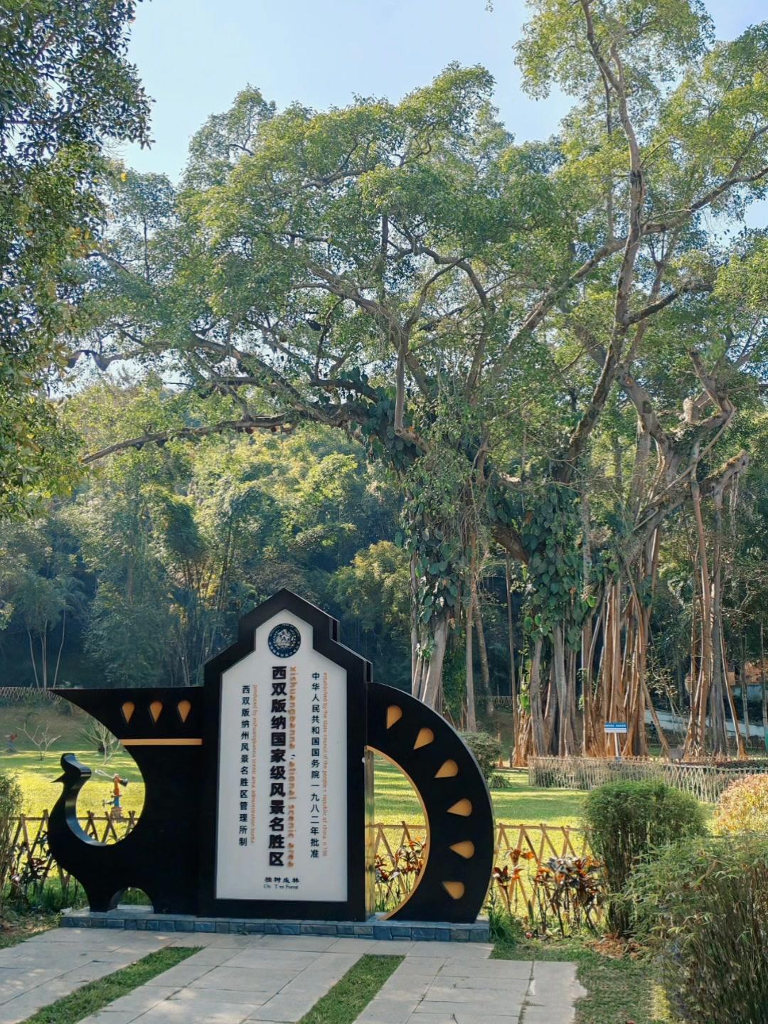 走进西双版纳东南部的雨林，海拔千米以下的潮湿沟谷、山坡与台地间，藏着一片神奇的热