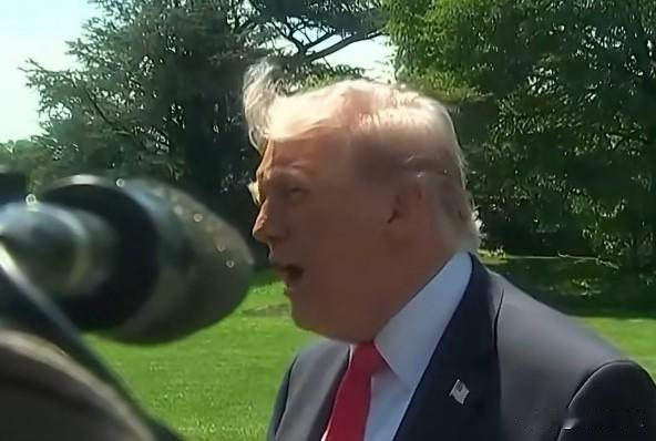 记者:“你谈到了意大利和西班牙撤军的问题，你能详细解释一下吗？”

特朗普:“我