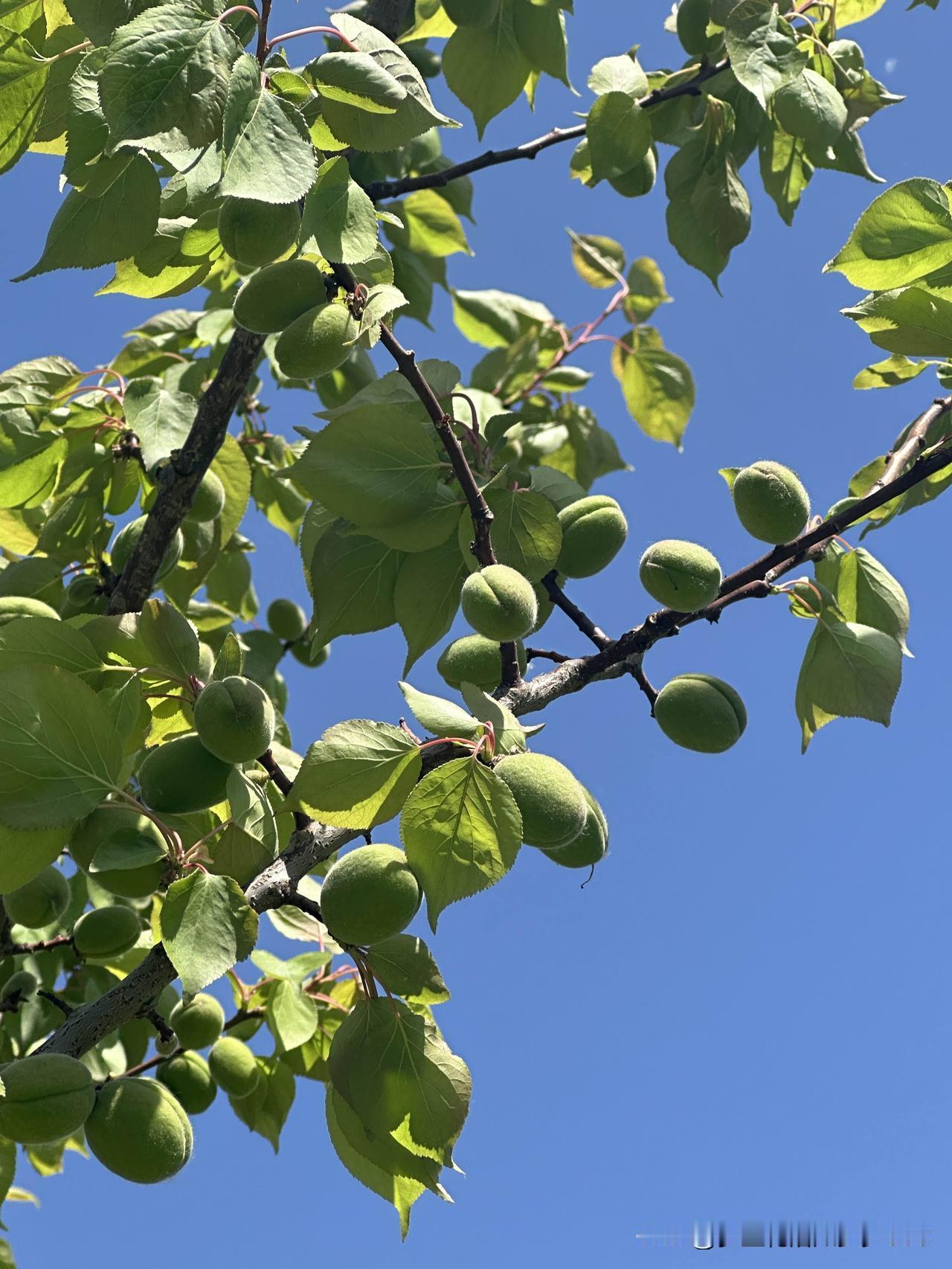 每天打卡一篇
分享一下随手拍的图片
也算是记录生活吧🌹