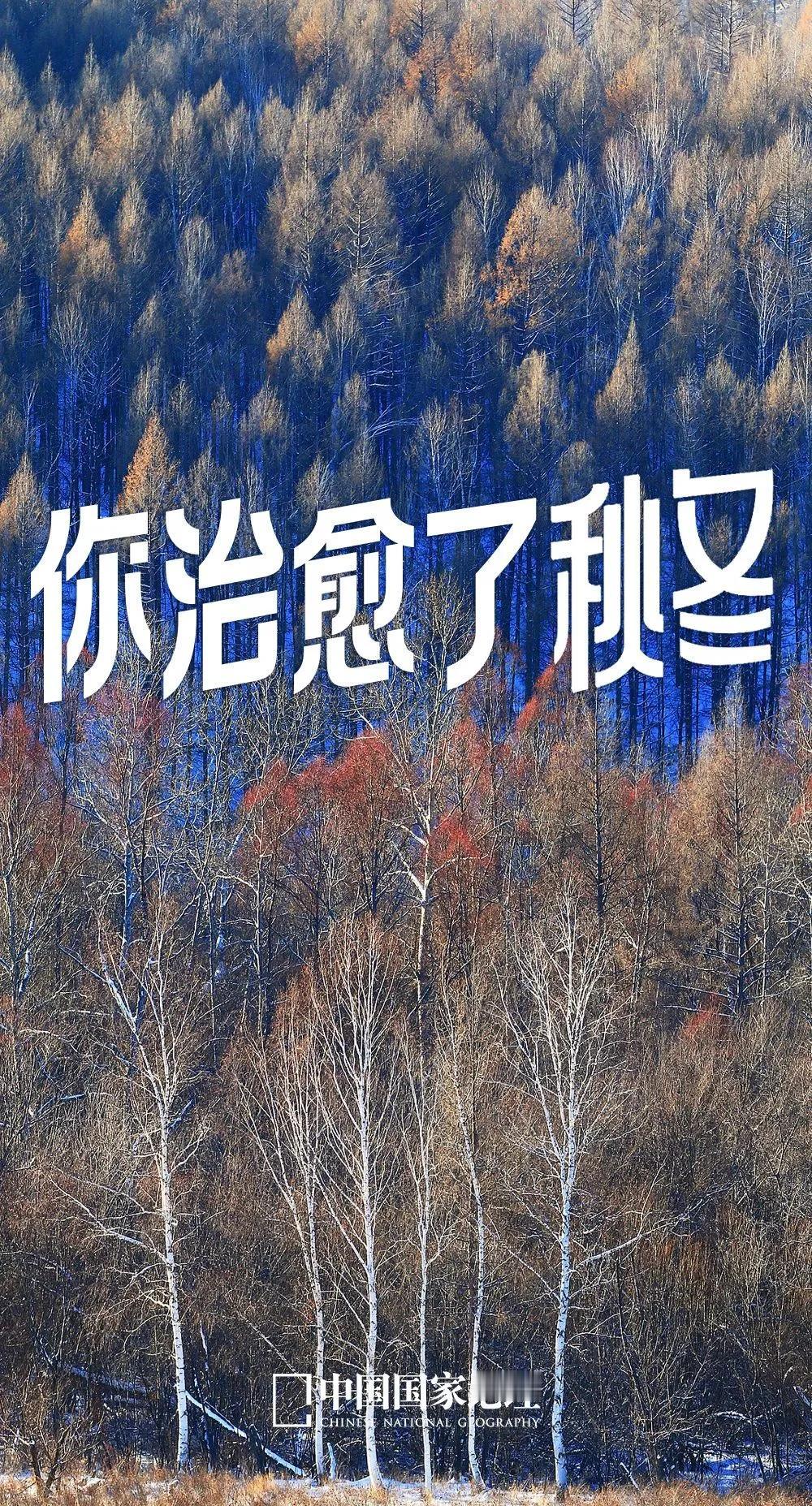 历史上黑龙江五只足球队队，都知道的球迷至少都要70后45岁以上的年龄，陪伴了我的