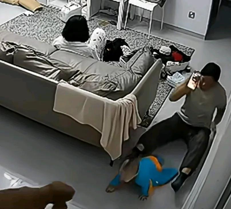 孩子在地上爬，妈妈坐在沙发上，奶奶看着孩子，下一秒狗狗突然冲向孩子，
奶奶立马抱