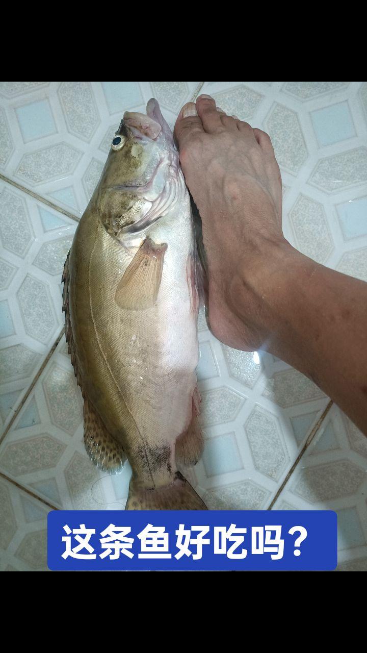 有买饵料的，抓紧在我的橱窗里面下单