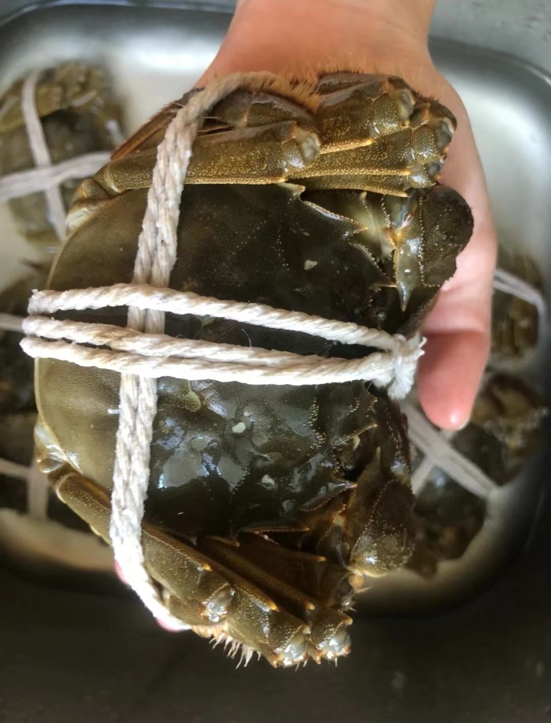 这样的螃蟹如果贴成阳澄湖标签，价格一下可以标很高。老徐实事求是，高邮的就是高邮的