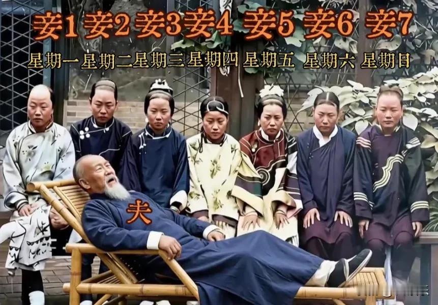 一张老图道出旧时代的婚姻。七位妾室，排好周一到周日，看似是大户人家的风光，实则是