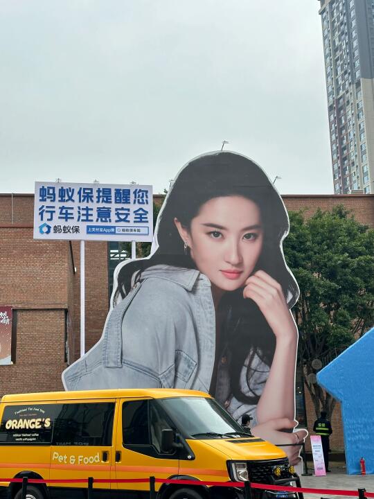 成都给刘亦菲的顶流排面！！！！！！