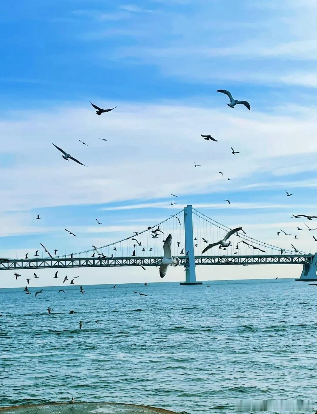 旅行不是走马观花打卡赶路，而是找一座舒服的小城，慢下来放空自己，把生活里的疲惫都