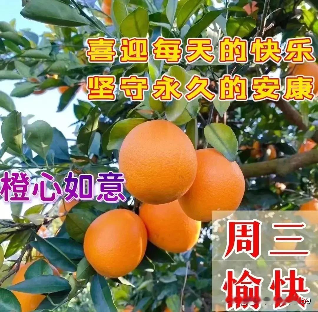 下午好友！美文欣赏！
妙语生花！写的真好！
精彩纷呈！才华横溢！
[赞][赞][
