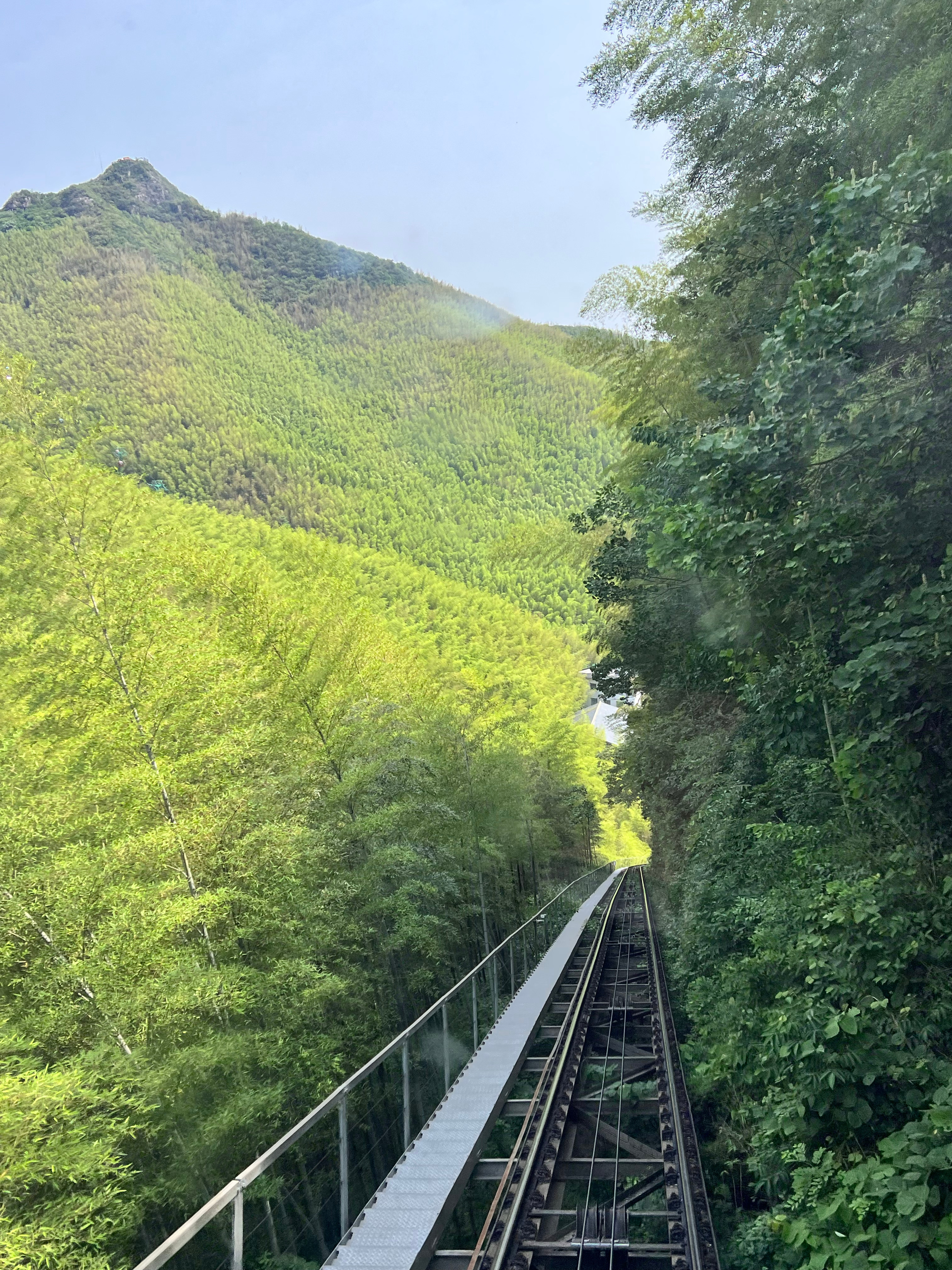 竹林吸氧 ​​​
