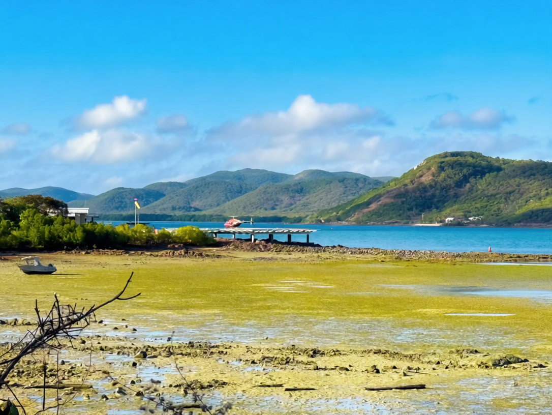 “毛姆说，他在悉尼听人谈起 Thursday Island。别人劝他不要去，说那