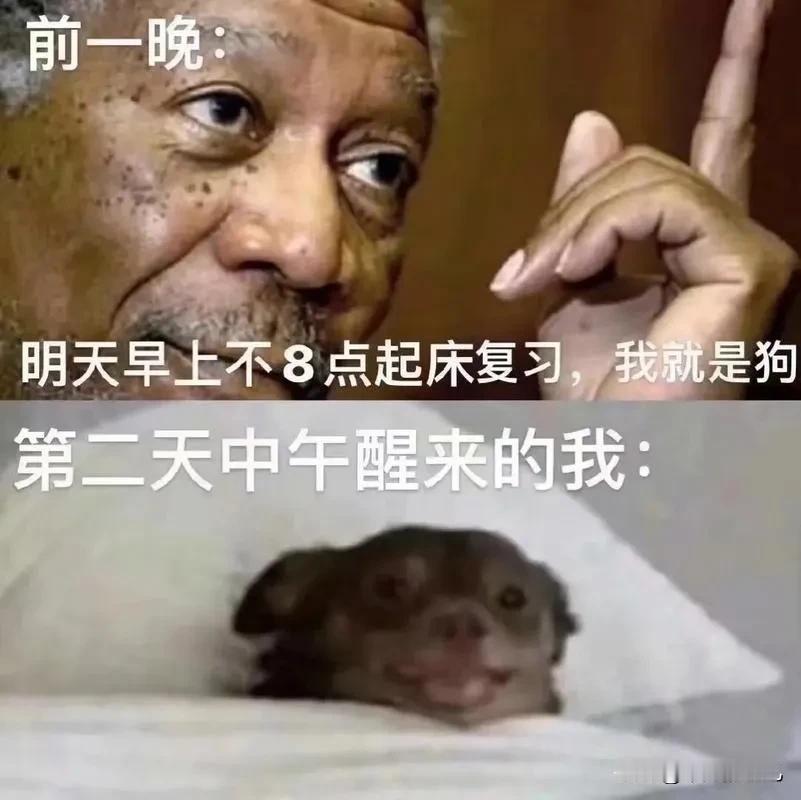 感觉噩梦又要回来了，
前两年考工作，
中间夹杂着考证书，
考过自己专业的，
又考