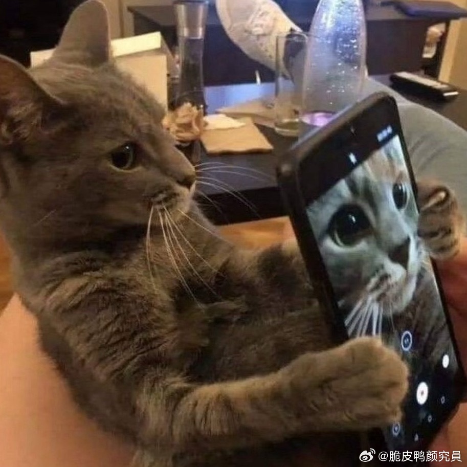 分享图片 