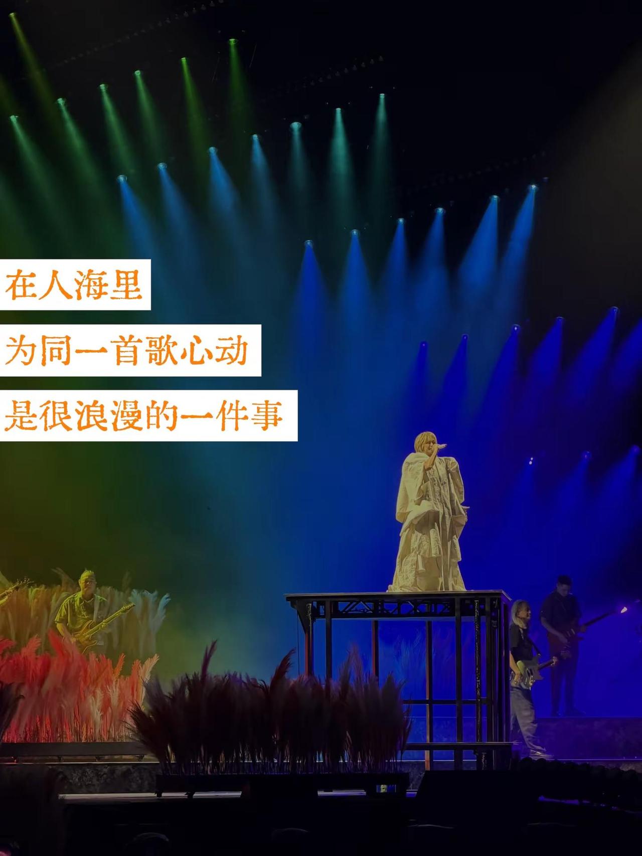 在人海里为同一首歌心动是很浪漫的一件事孙燕姿 孙燕姿演唱会 我要的幸福 一场震撼